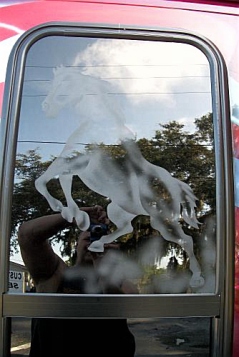 Horse on van window