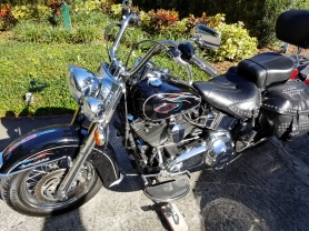 Accents on Harley